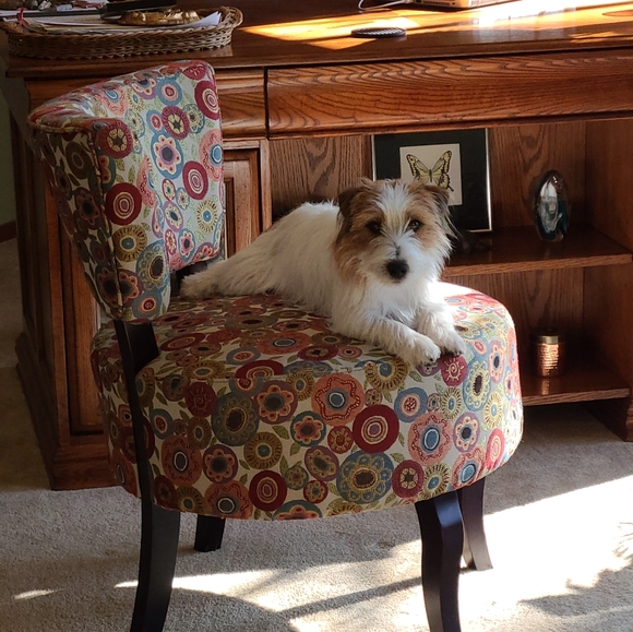 Meet your Posher, Lisa - Picture 3 of 4